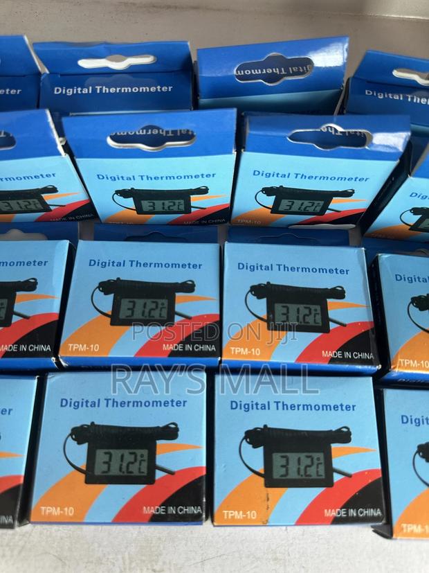 Digital Thermometer photo 2