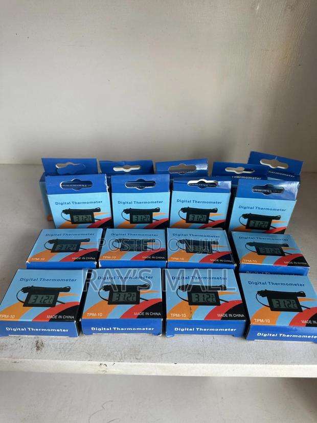 Digital Thermometer photo 3