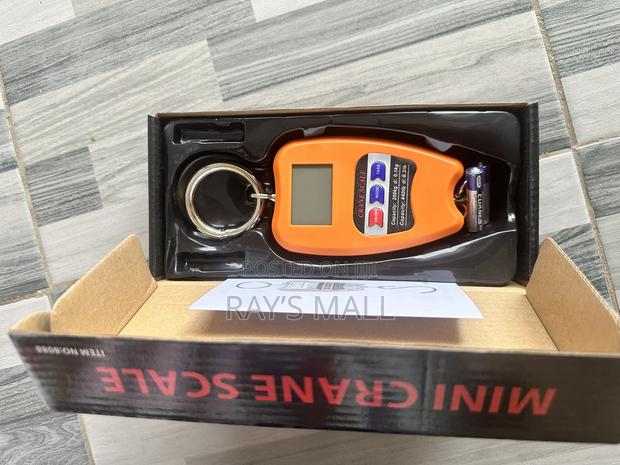 Mini Crane Scale (200kg)