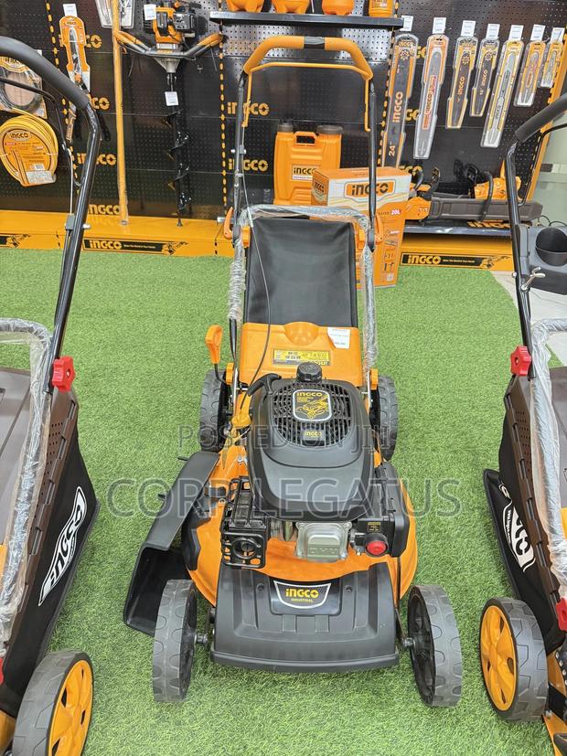 Ingco Gasoline Lawn Mower photo 4