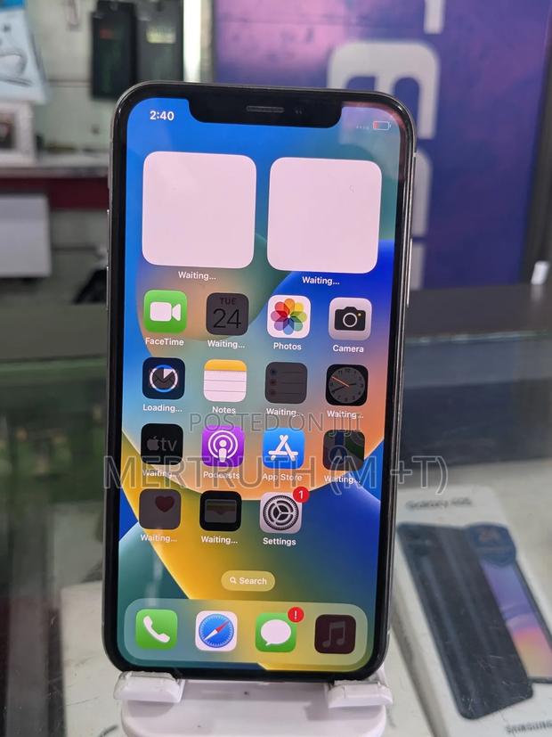 Apple iPhone X 256 GB Silver photo 4
