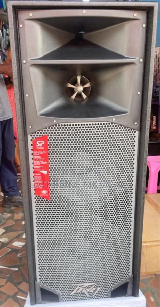 Peavey Spider Mid Speaker · Photo 2