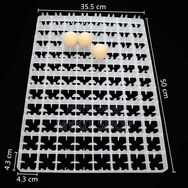 88 Egg Tray · Photo 2
