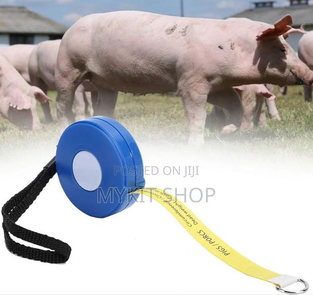Pigs Weight Tape · Photo 2
