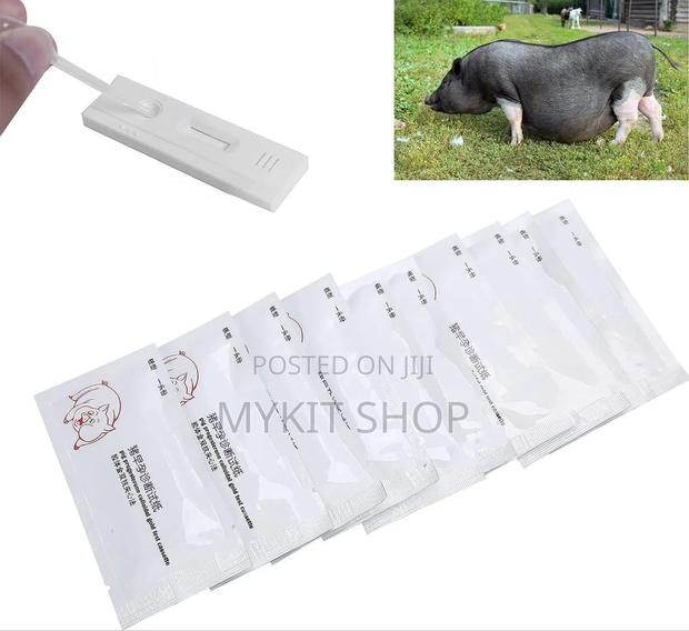Pig Pregnancy Test · Photo 2