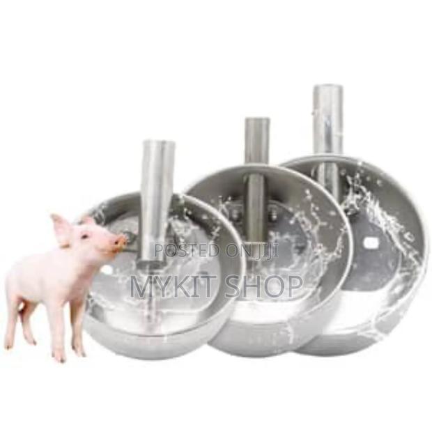 Piglet Drinking Bowl · Photo 2