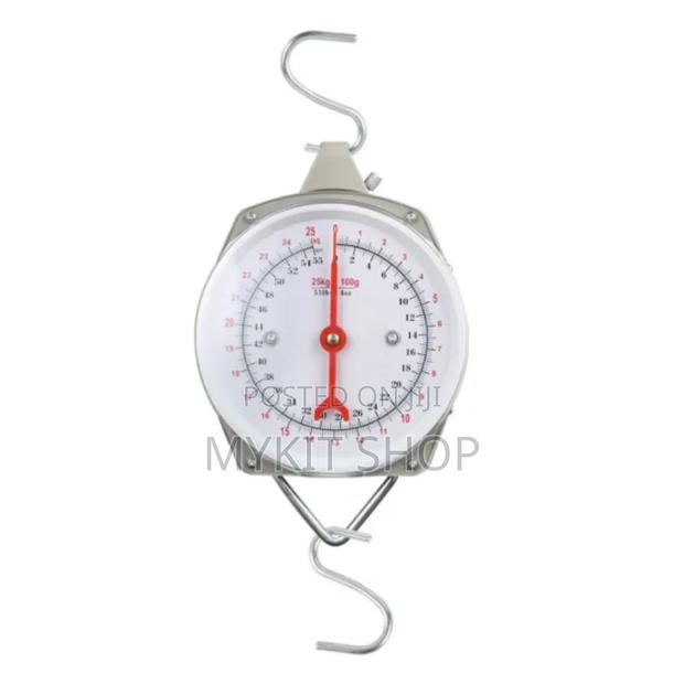 200kg Hanging Scale · Photo 2