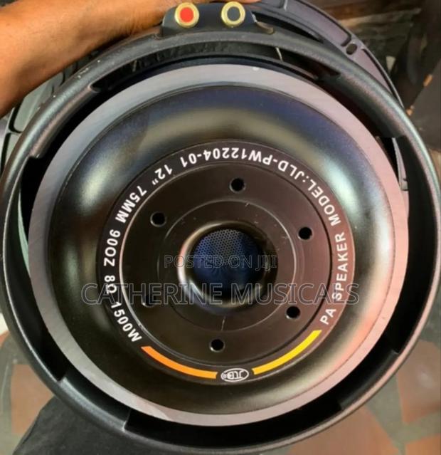 JLD 12 Inches Double Magnet Naked Speaker · Photo 2