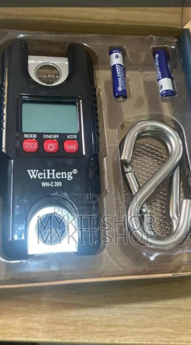 300kg Hanging Scale · Photo 2