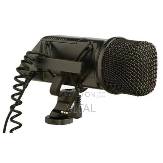 Rode SVM Vidéo Microphone photo 2