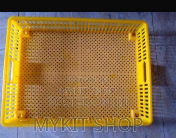 Yellow Hatchery Basket · Photo 2