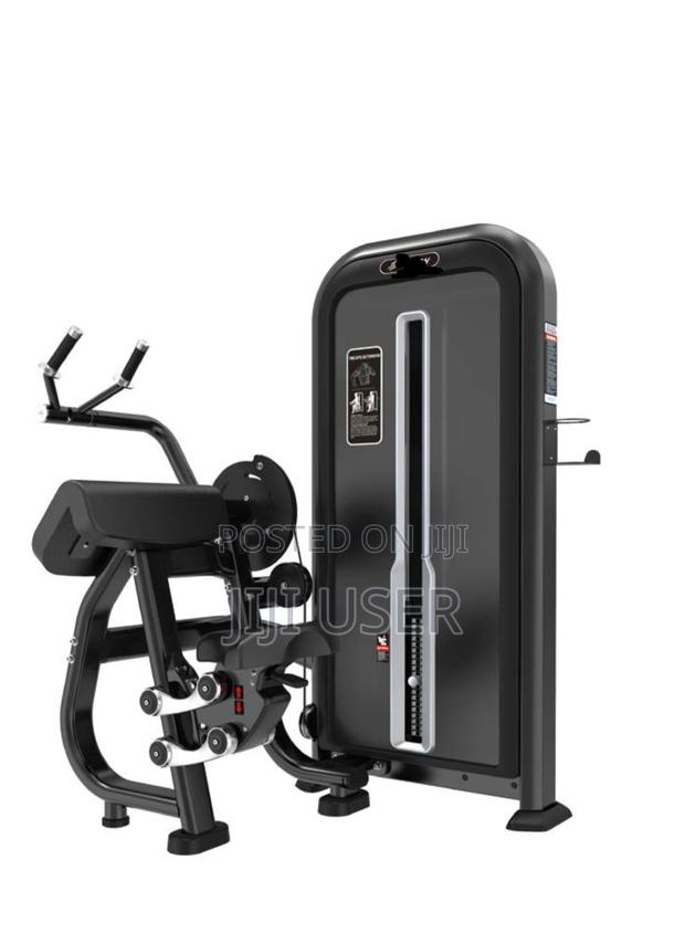 Triceps/ Biceps Machine