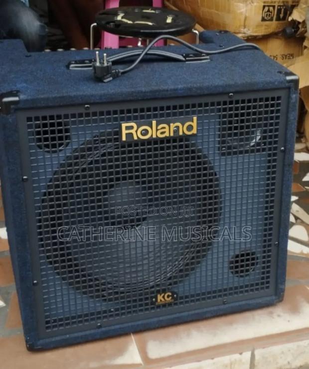 Roland Kc550 Keyboard Combo · Photo 2
