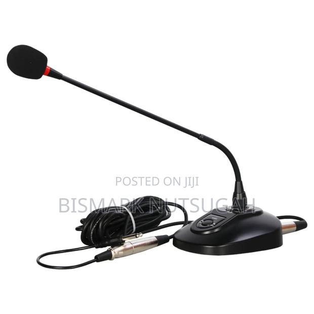 Wireless Microphone for Sale