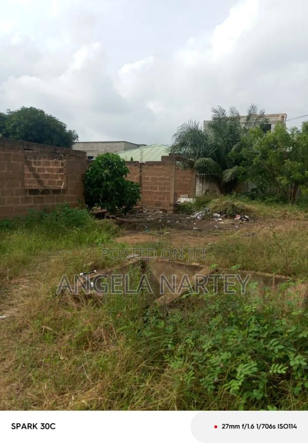 Titled One Plot Close to Manet, Spintex · Photo 4