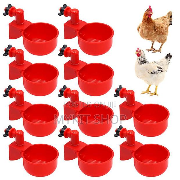 Chicken Nipple (Cn20) · Photo 2