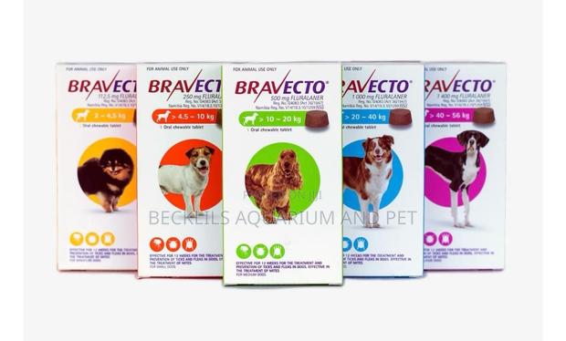 Bravecto 2 - 4.5kg · Photo 4