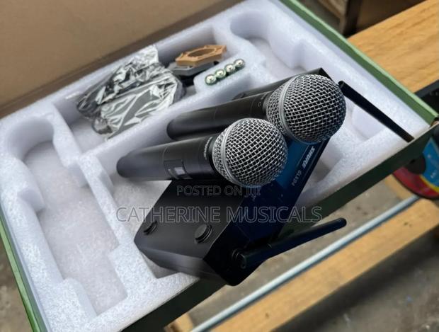 Shure Microphone (Double) · Photo 3