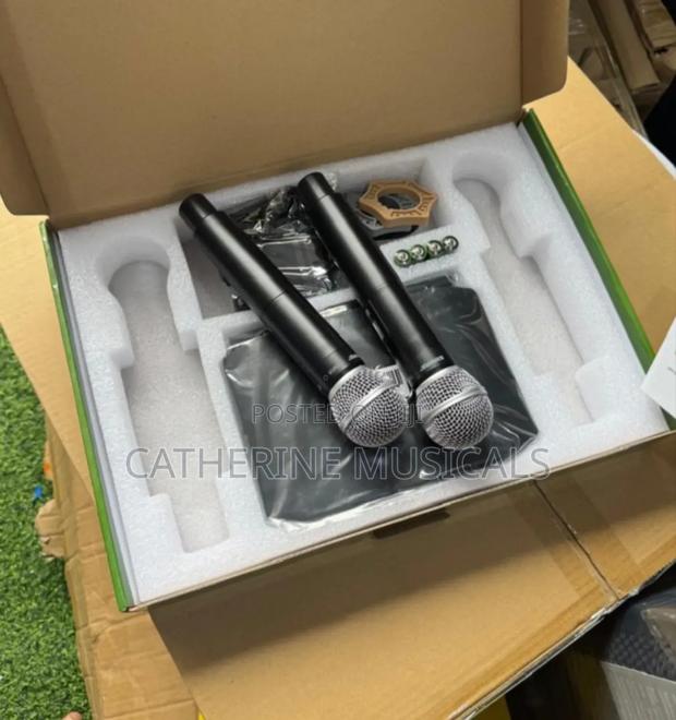 Shure Microphone (Double) · Photo 4