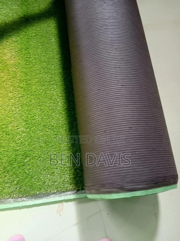 Carpet Grass photo 2