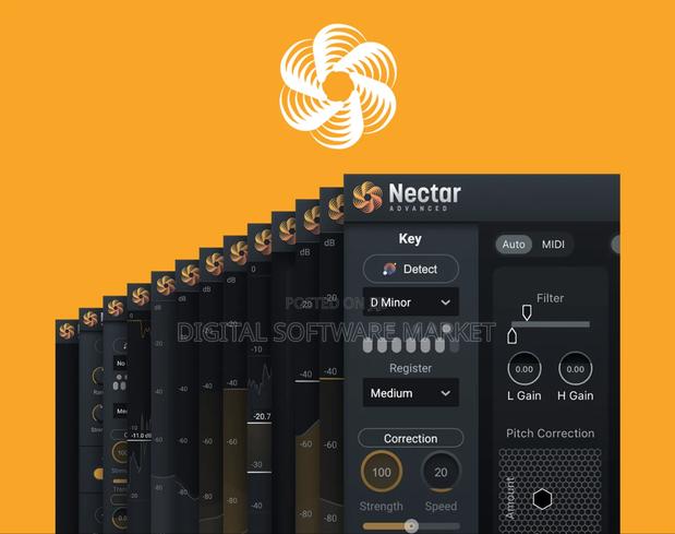 Izotope Nectar 4 · Photo 3