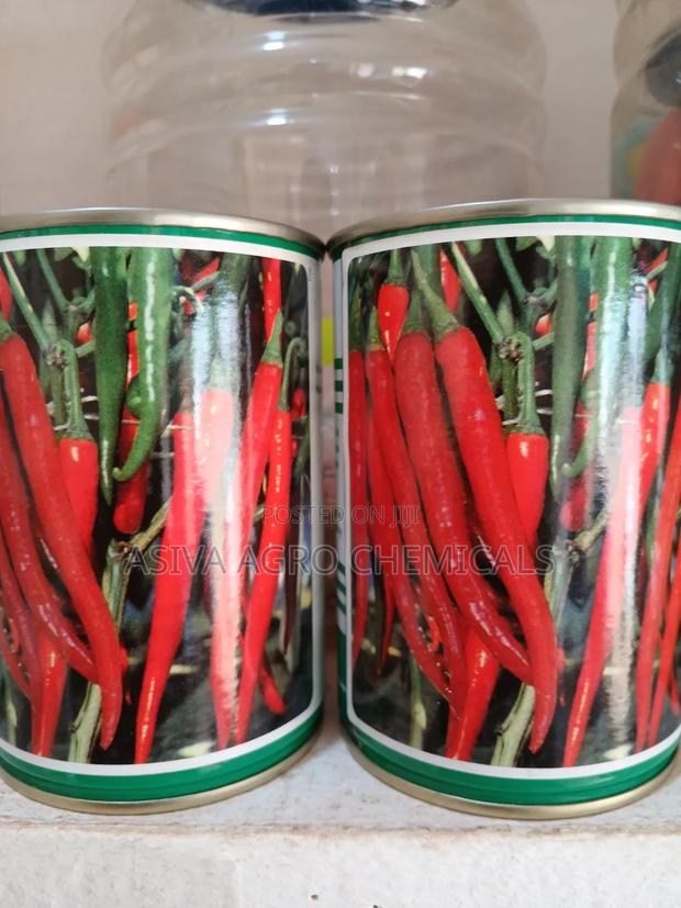 Cayenne Pepper (Chilli Pepper) Seeds photo 6