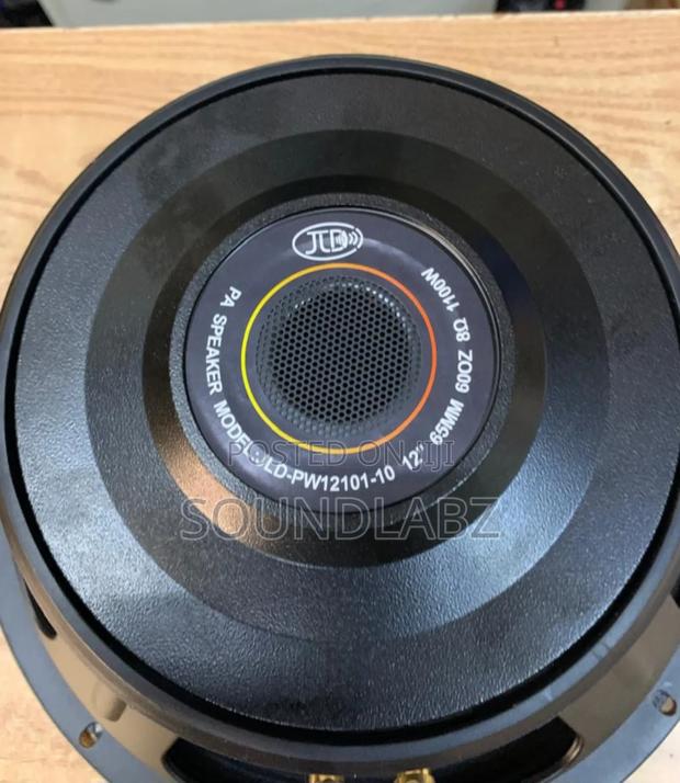 Jld-pw12101-10 12" 12inches Pair Naked Pa Speaker · Photo 3