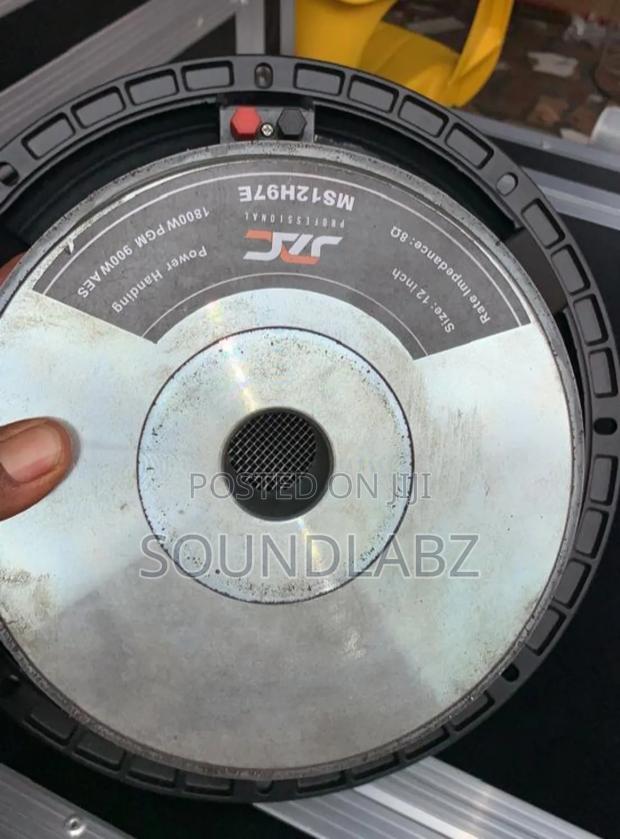Jac 12 Inches Double Magnet Naked Speaker · Photo 4