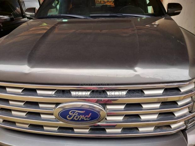 Ford Expedition Limited 4x4 2020 Gray