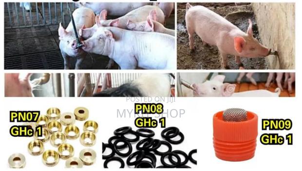 Pig Nipples(Pno7),(Pn08),(Pn09) · Photo 2