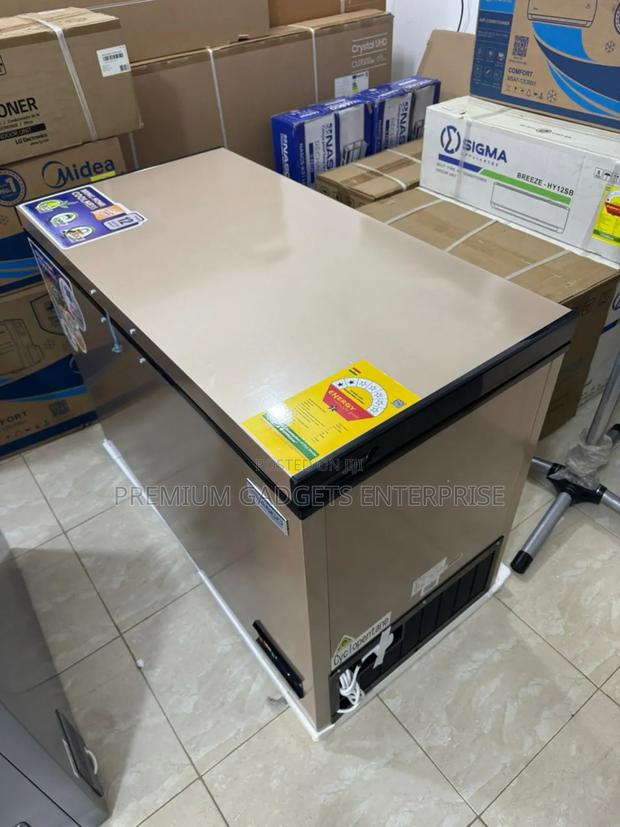 Nasco Manual Temperature Control Chest Freezer 318litres