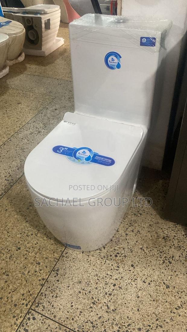 Exquisite One Piece Water Closet · Photo 3
