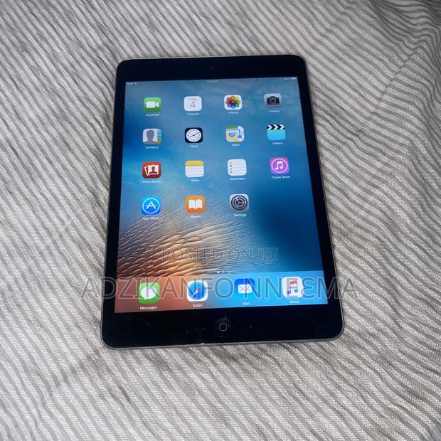 Apple iPad mini 1 16 GB Gray