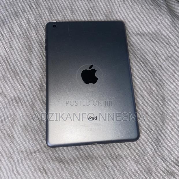 Apple iPad mini 1 16 GB Gray photo 2