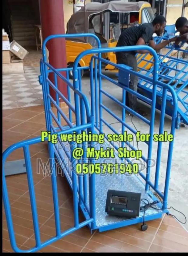 Pig Weighing Scale · Photo 2