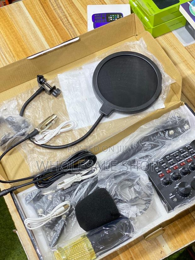 Professional Condenser Microphone