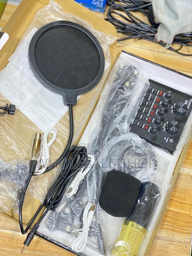 Professional Condenser Microphone photo 4