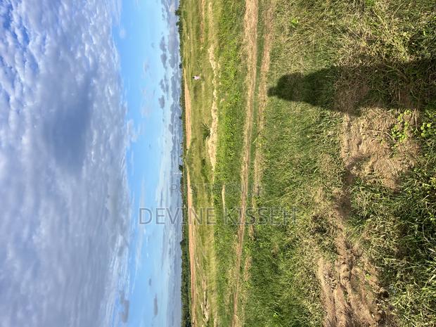 2 Plot of Land for Sale at Buduburam · Photo 3