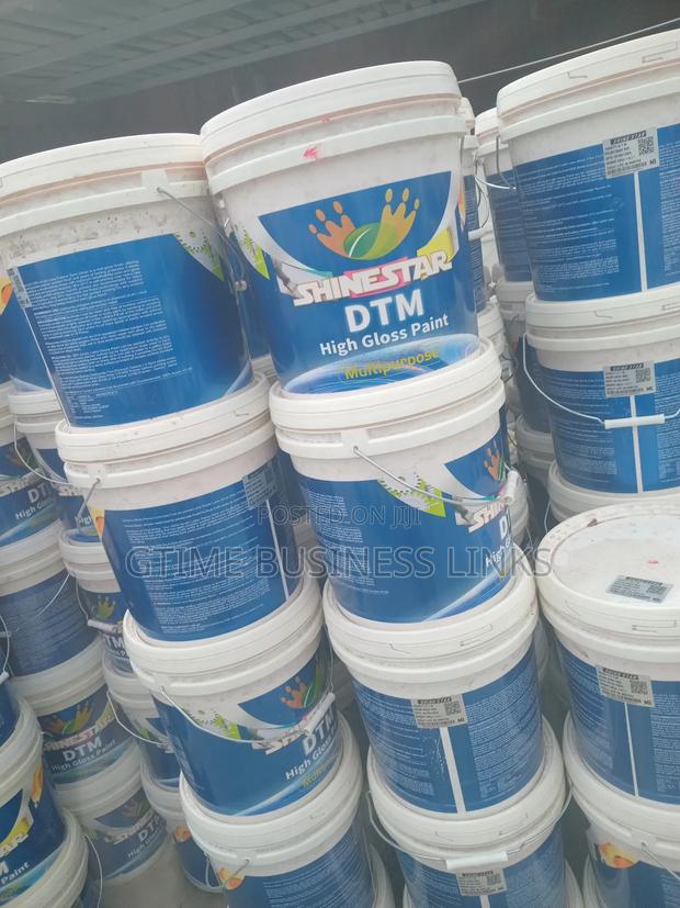 DTM Paint (20l) - Reduction Sales !