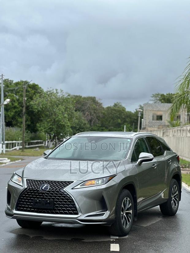 Lexus RX 450h 3.5 Hybrid AWD 2022 Gray