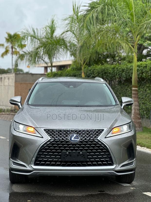 Lexus RX 450h 3.5 Hybrid AWD 2022 Gray