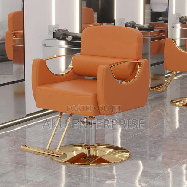 Leather Hair Saloon Chair Babar Chair Gold Legs Adjustable · Photo 4