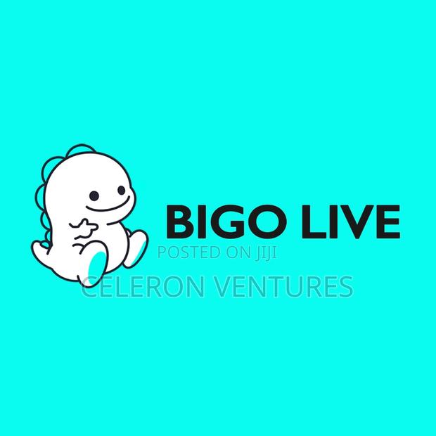 Bingo Live Available