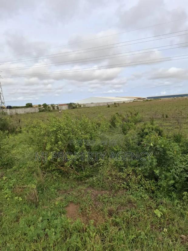 6 Acres Roadside Industrial Land for Rent · Photo 3
