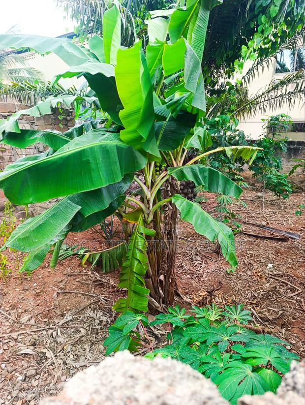 Land for Sale at Acp Estate, Cool Water Area photo 3