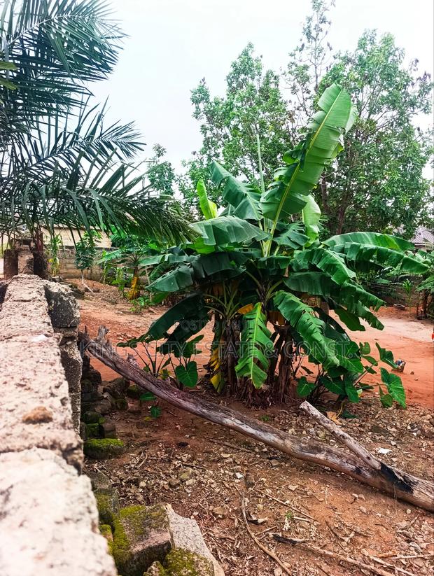 Land for Sale at Acp Estate, Cool Water Area photo 4