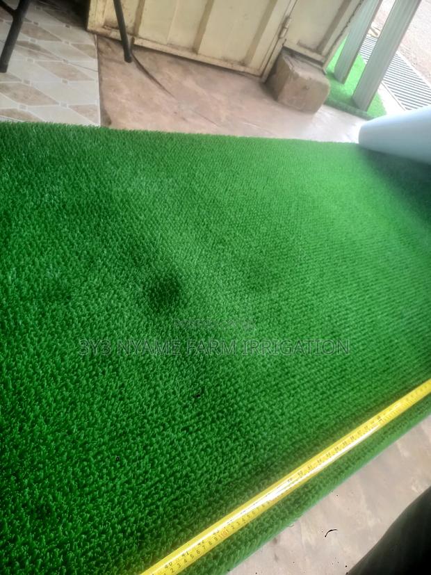 Mining Carpet photo 3
