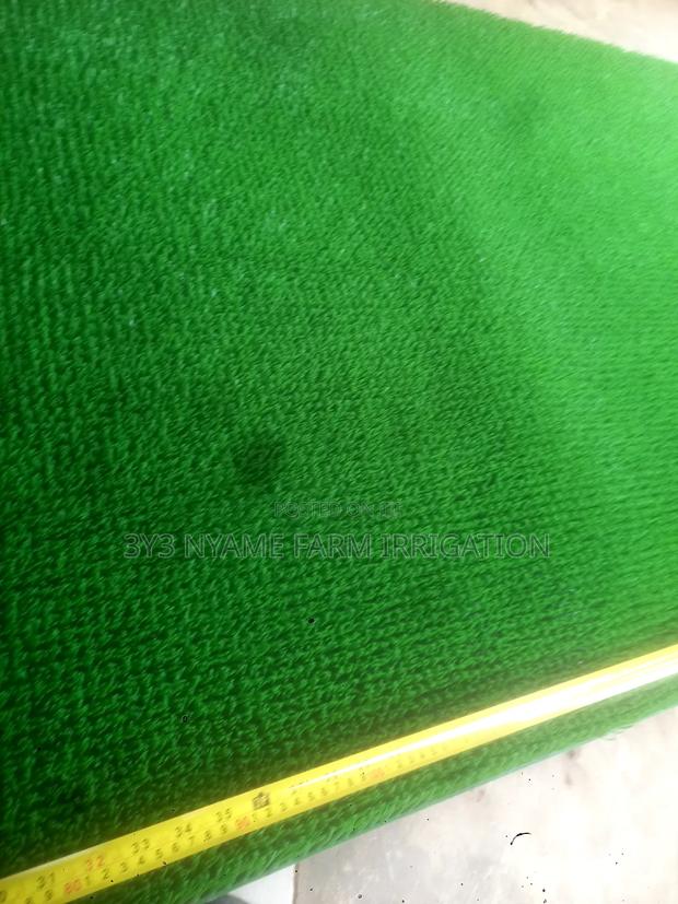 Mining Carpet photo 5