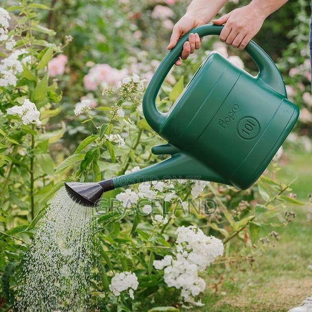 This Is Original Watering Can for Home Outdoor Indoor. · Photo 3