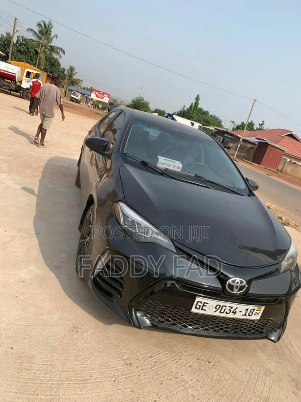 Car Rentals and Chauffeur Services